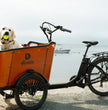 Caravan Electric Cargo Bike