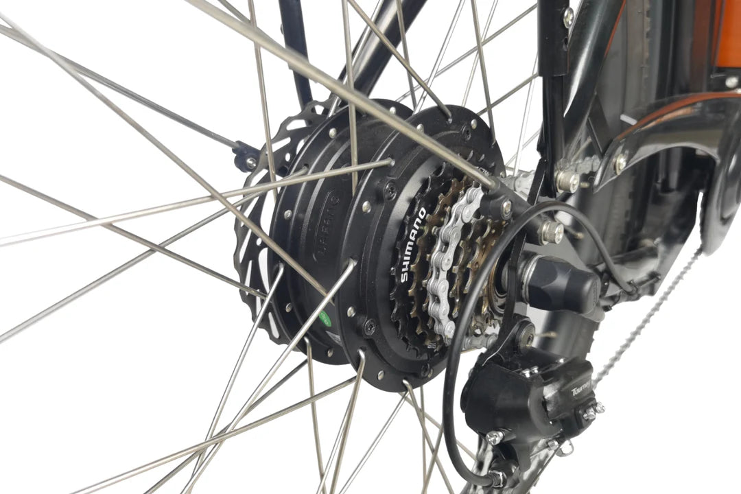 Caravan Electric Cargo Bike