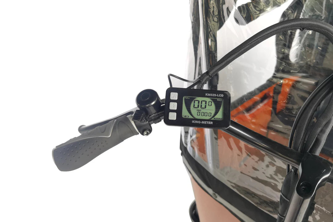 Caravan Electric Cargo Bike