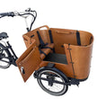 Caravan Electric Cargo Bike