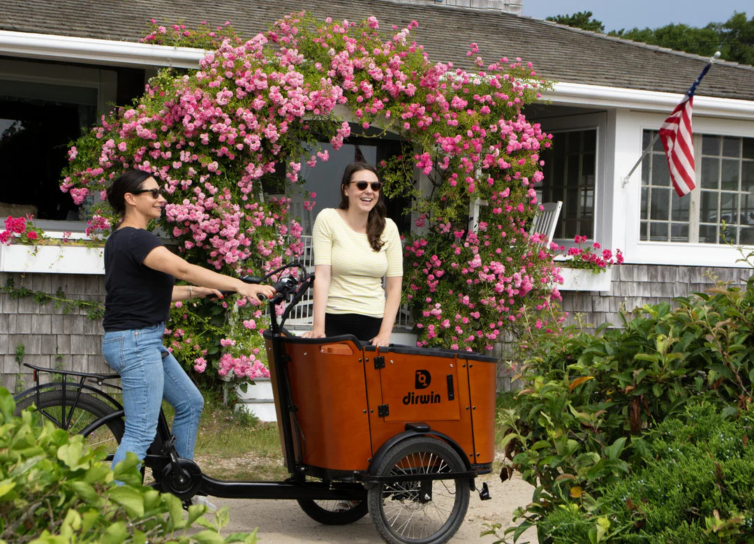 Caravan Electric Cargo Bike