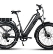 Pioneer Plus Hunting Electric Bike