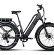 Pioneer Plus Hunting Electric Bike