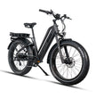 Pioneer Plus Hunting Electric Bike