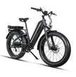 Pioneer Plus Hunting Electric Bike