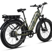Pioneer Plus Hunting Electric Bike