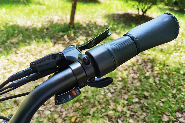 Pioneer Plus Hunting Electric Bike