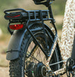 Pioneer Plus Hunting Electric Bike
