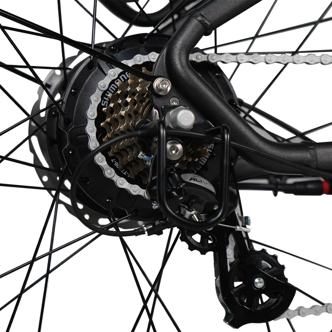 Pioneer Plus Hunting Electric Bike